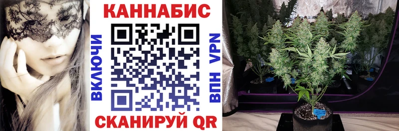 Бошки Шишки Amnesia  как найти закладки  Баймак 